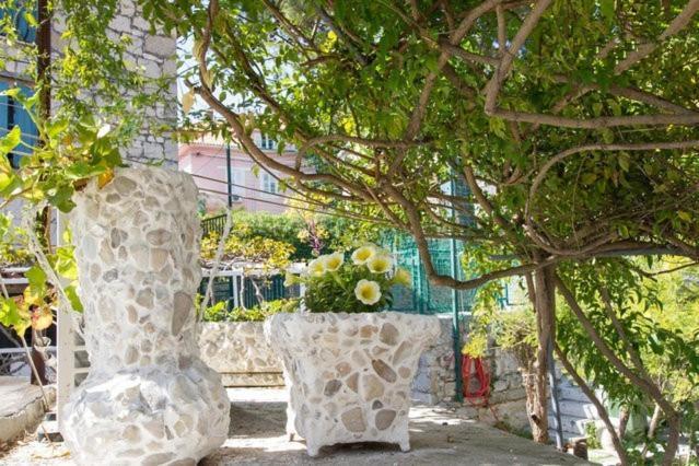 Apartments Varos Split Szoba fotó